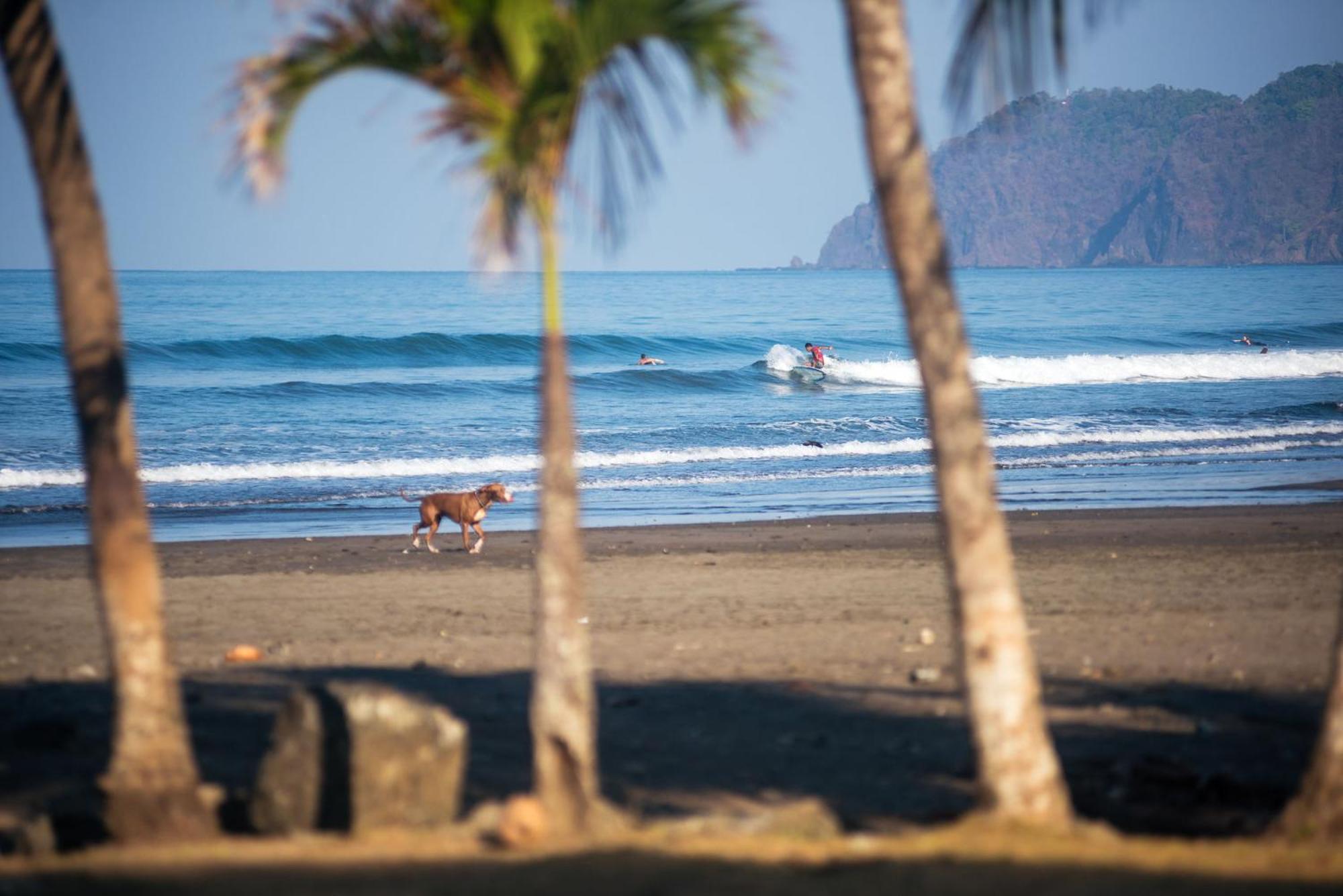 Beach Break Resort & Cr Surf Camp Jacó Kültér fotó